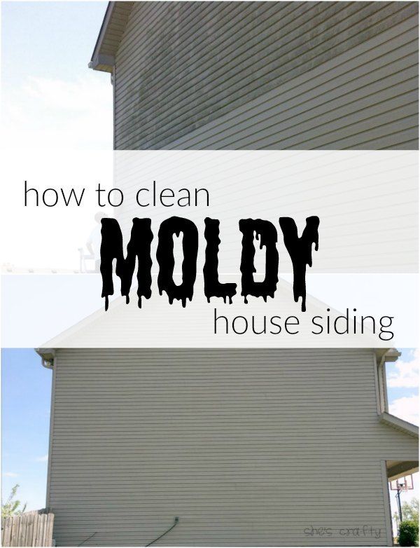 She's Crafty How to Clean Moldy Siding